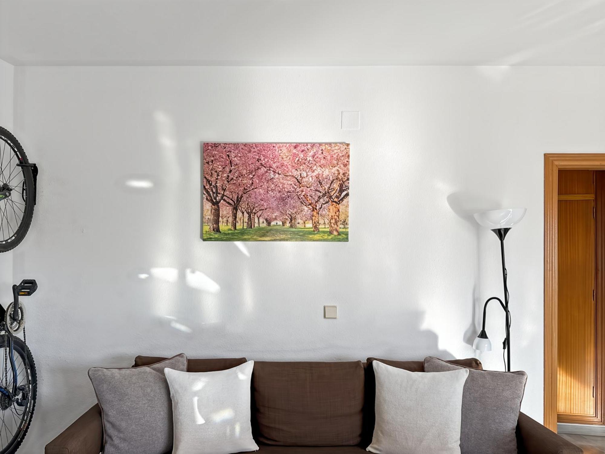 Exclusive Malaga Apartments With Cathedral Views And Auto Check-In Dış mekan fotoğraf
